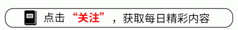 外汇平台ex排名量化交易软件哪款最受欢迎？这些平稳可靠的选择不可不知！